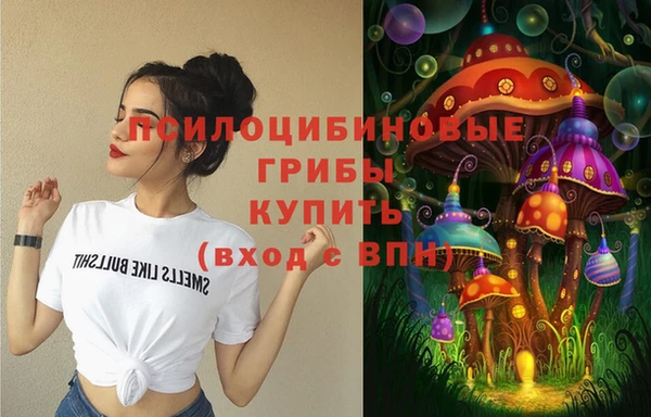 apvp Нефтегорск