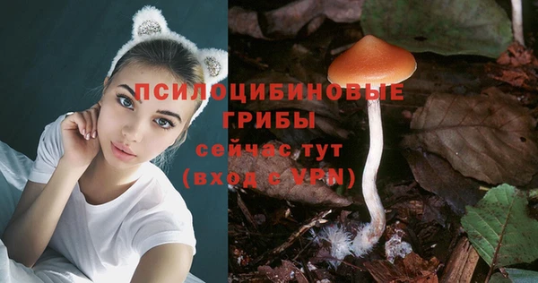 apvp Нефтегорск