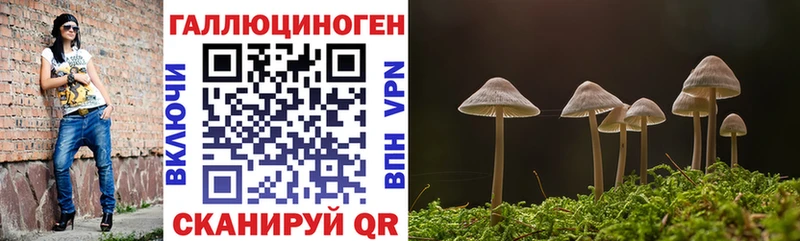 Галлюциногенные грибы мицелий  ссылка на мегу ссылки  Зубцов  где найти наркотики 